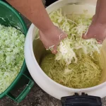 Tradicionalni kiseli kupus za zimnicu 11 | Istaknuta slika 2/4 | Od, tatinih, noževa, do, podrumskog, zlata, kiseli, čuvar, leta, za, hladne, dane