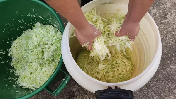 Tradicionalni kiseli kupus za zimnicu 11 | Istaknuta slika 2/4 | Od, tatinih, noževa, do, podrumskog, zlata, kiseli, čuvar, leta, za, hladne, dane