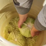 Tradicionalni kiseli kupus za zimnicu | Ređanje Kupusa i dodavanje začina | Postupak 4 | Slika 7/10