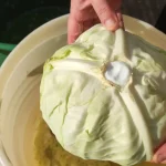 Tradicionalni kiseli kupus za zimnicu | Ređanje Kupusa i dodavanje začina | Postupak 4 | Slika 6/10