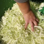 Tradicionalni kiseli kupus za zimnicu | Soljenje kupusa  | Postupak 3 | Slika 4/5