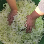 Tradicionalni kiseli kupus za zimnicu | Soljenje kupusa  | Postupak 3 | Slika 3/5