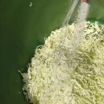 Tradicionalni kiseli kupus za zimnicu | Soljenje kupusa  | Postupak 3 | Slika 2/5