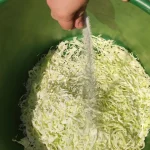 Tradicionalni kiseli kupus za zimnicu | Soljenje kupusa  | Postupak 3 | Slika 1/5