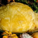 Tradicionalni kiseli kupus za zimnicu | Čuvanje kupusa | Postupak 5 | Slika 7/7