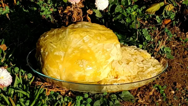 Tradicionalni kiseli kupus za zimnicu 35 | Istaknuta slika 1/4 | Od, tatinih, noževa, do, podrumskog, zlata, kiseli, čuvar, leta, za, hladne, dane