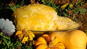 Tradicionalni kiseli kupus za zimnicu 36