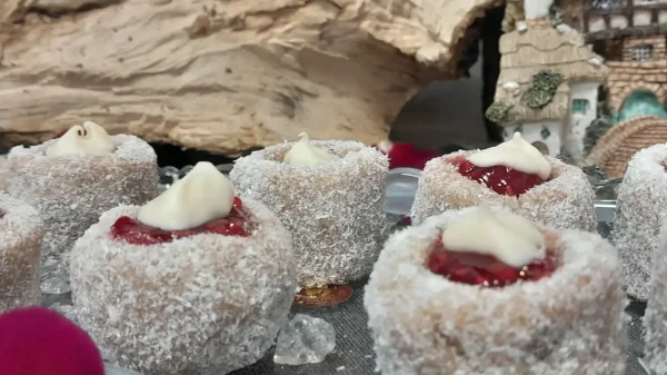 Debelci-Patuljci-Draguljci | 1/4 Debelci-Patuljci-Draguljci 33 | Istaknuta slika 1/4 | Slatki, čuvari, bajnih, dragulja, u, kaputu, od, kokosa, rubinom, od, maline, i, kapom, bele, čokolade