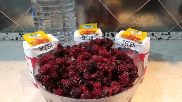 Sirup od kupina 22 | Istaknuta slika 4/4 | Pretoči, jesen, u, čaši, prirodni, osvežavajući, napitak, uz, BONUS