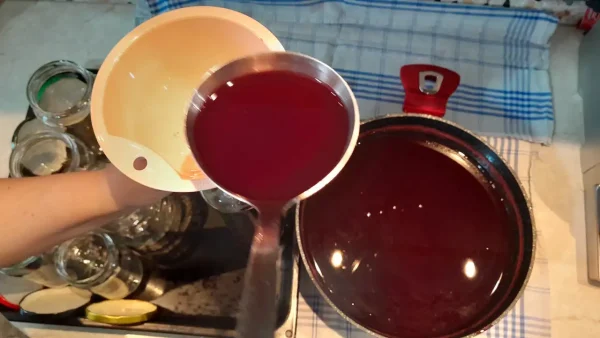 Sirup od kupina 30 | Istaknuta slika 2/4 | Pretoči, jesen, u, čaši, prirodni, osvežavajući, napitak, uz, BONUS