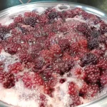 Sirup od kupina | Kuvanje voća | Postupak 2 | Slika 5/6