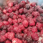 Sirup od kupina | Kuvanje voća | Postupak 2 | Slika 2/6