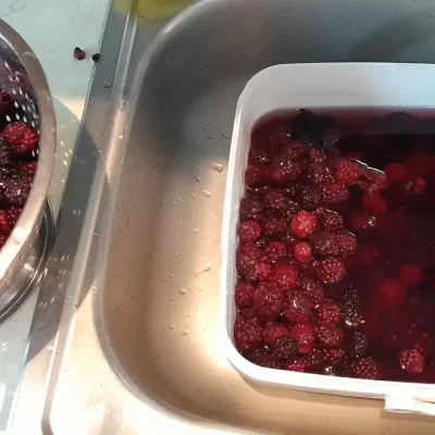 Sirup od kupina | Priprema kupina | Postupak 1 | Slika 2/3