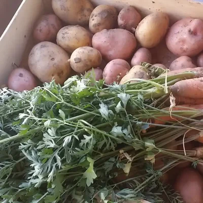 Krompir u kuhinji i 7 zdravstvenih benefita za imunitet i svakodnevicu 12 | Istaknuta slika 12/14 | Vitamin, C, za, jači, imunitet, Kalijum, za, srce, i, pritisak, Vlakna, za, bolje, varenje, Nizak, glikemijski, indeks, za, energiju, Antioksidanti, protiv, upala, Proteini, i, gvožđe, za, krv, Vitamini, B, za, nerve, i, raspoloženje