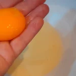 Slani rolat sa bundevom | Priprema kore za rolat | Postupak 2 | Slika 1/13