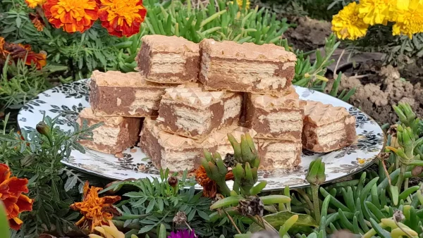 Napolitanka oblande 1 | Istaknuta slika 1/4 | Simfonija, slojeva, na, bini, oblatni, operska, saga, fila, i, napolitanki