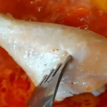 Pileći paprikaš | Priprema zaprške | Postupak 3 | Slika 7/8