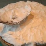 Torta slojevita lešničarka | Dekoracija i serviranje | Postupak 6 | Slika 5/10