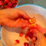 Džem od trešanja | Priprema voća | Postupak 1 | Slika 2/4