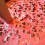 Džem od višanja sa džemfixom | blendiranje višanja | Postupak 3 | Slika 3/4