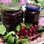 Džem od višanja sa džemfixom 2 | Istaknuta slika 1/4 | Crvene, note, letnje, lepote, kašika, po, kašika, prava, letnja, romantika