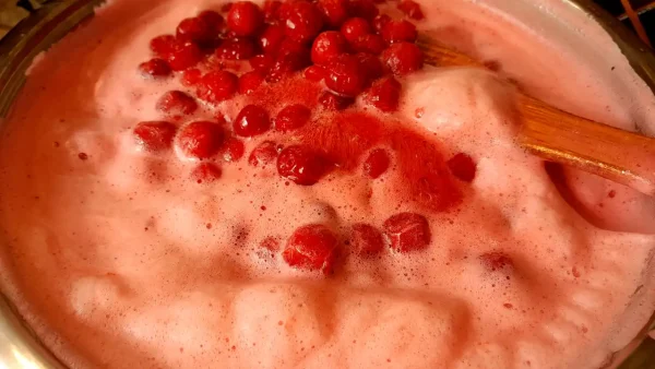 Sok od višanja 10 | Istaknuta slika 4/4 | Domaći, gusti, sirup, od, višanja, osvežavajuć, prirodan, i, zdrav, letnji, napitak
