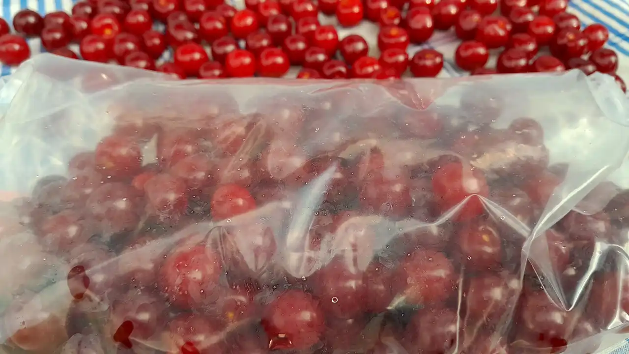 Spremanje višanja za zamrzivač 10 | Istaknuta slika 4/11 | 