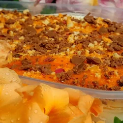 Ledena Kraljica leta - sladoled torta od kajsija 1