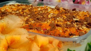 Ledena Kraljica leta – sladoled torta od kajsija