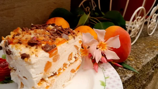 Ledena Kraljica leta – sladoled torta od kajsija | 1/4 Ledena Kraljica leta - sladoled torta od kajsija 2 | Istaknuta slika 1/4 | Sunčani, zalogaji, u, ledeni, užitak, pretočeni