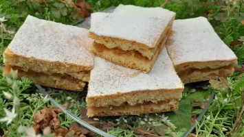 Lenja pita sa jabukama