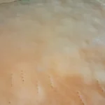 Lenja pita sa jabukama | Ređanje pite | Postupak 4 | Slika 8/8