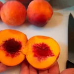 Marmelada od breskve | Čišćenje  breskvi | Postupak 1 | Slika 7/10